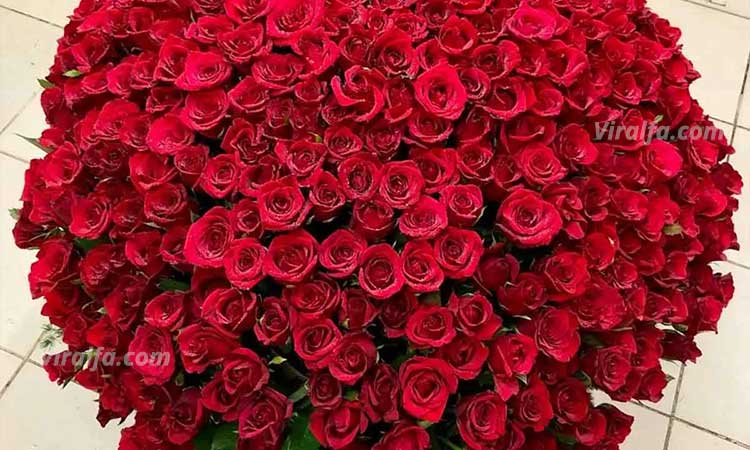 گل برای ولنتاین